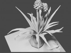 aloe wildfire 3 models 3D Print Model