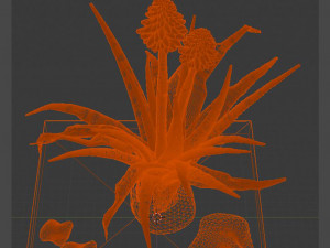 aloe wildfire 3 models 3D Принт Модель