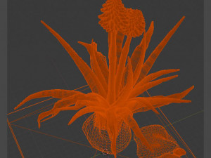 aloe wildfire 3 models 3D Принт Модель