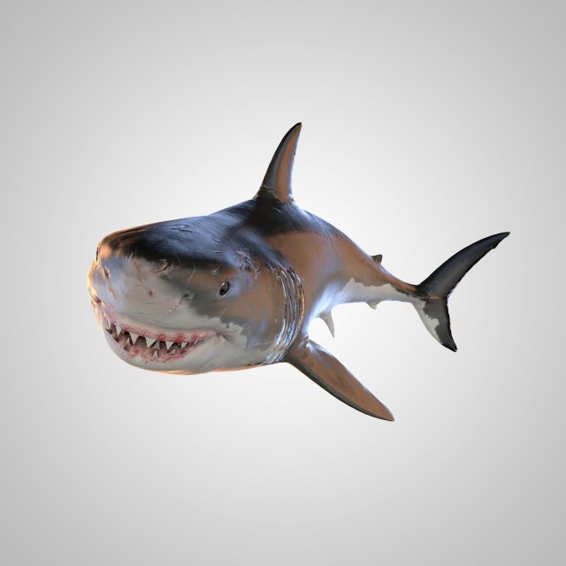 Vfx shark sale toy for sale