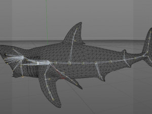 animated white shark 3D Model
