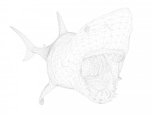 animated white shark 3D Model
