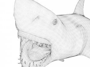 animated white shark 3D Model