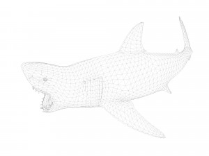 animated white shark 3D Model