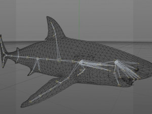 animated white shark 3D Model