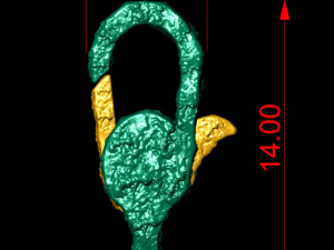 nugget lobster clasps 3D Print Model