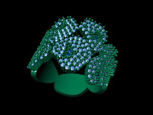 diamond ancient america ring 3D Print Model
