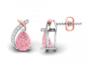Earings 007 3D Print Model
