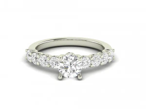 订婚戒指007 3D 打印模型