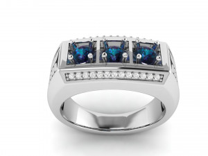 gents enamel ring 005 3D-Druckmodell