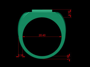 gents enamel ring 007 3D Baskı Modeli