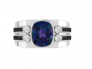 gents enamel ring 008 Modello di stampa 3D