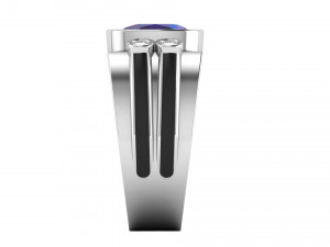 gents enamel ring 008 Modello di stampa 3D