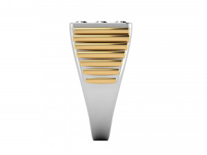 gents enamel ring 010 3D Print Model
