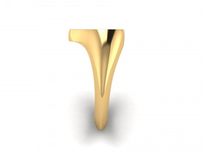 heart enamel ring 3D Print Model