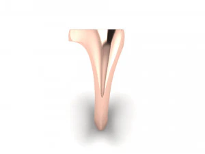 heart enamel ring 3D Print Model
