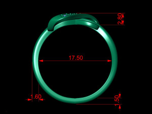 infinity band ring 3Dプリントモデル