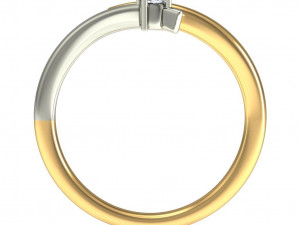 light weight ladies ring 002 3Dプリントモデル