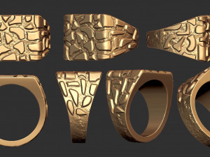 plain gold nugget ring 3D 프린트 모델
