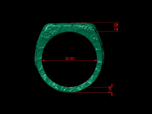 plain gold nugget ring 3D Print Model