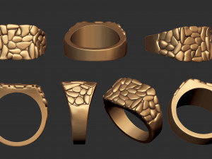 Plain nugget ring 2 3D 打印模型