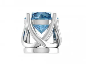 teste ad anello tipo 4 - 10pz Modello di stampa 3D