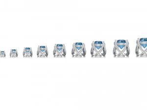 teste ad anello tipo 4 - 10pz Modello di stampa 3D