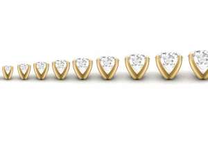 teste ad anelli tipo 10 - 10pz Modello di stampa 3D