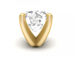 teste ad anelli tipo 10 - 10pz Modello di stampa 3D