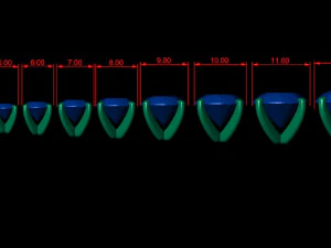 teste ad anelli tipo 10 - 10pz Modello di stampa 3D