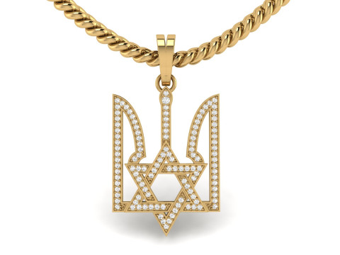 Star Sield Signet Pendant 3D 프린트 모델