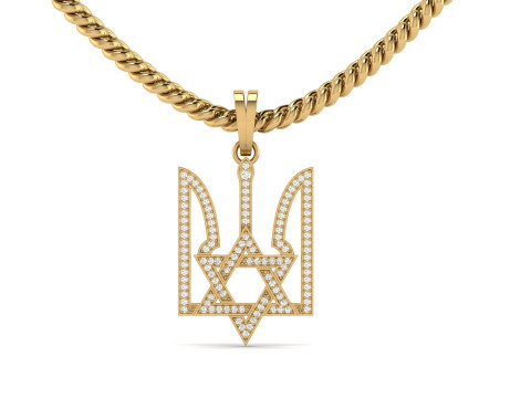 Star Sield Signet Pendant 3D 프린트 모델