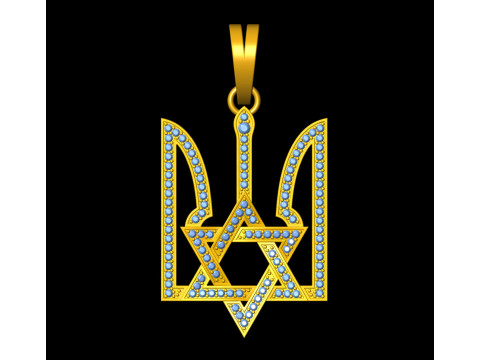 Star Sield Signet Pendant 3D 프린트 모델