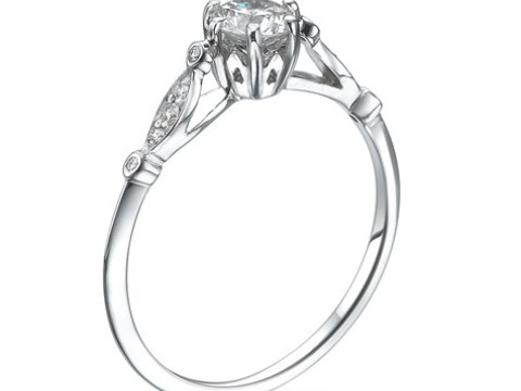 Bridal Ring 001 3D-Druckmodell