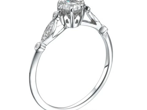 Bridal Ring 001 3D Print Model