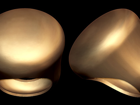 Round Dome Shape Ring Modelo de impresión 3D
