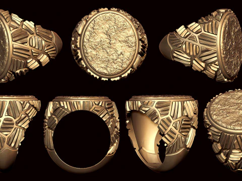 Anillo de pepita de nuevo estilo Modelo de impresión 3D