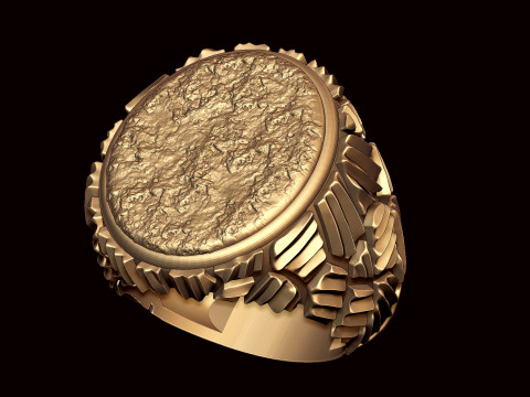 New Style Nugget Ring 3D 打印模型