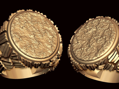 New Style Nugget Ring 3D 打印模型