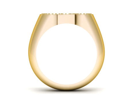 CEO BOSS DIAMOND RING 3D Print Model