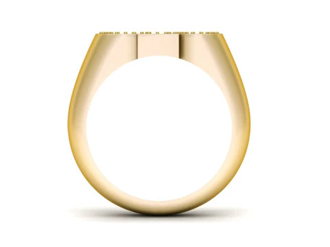 CEO BOSS DIAMOND RING 3D Print Model
