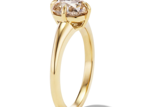 Cushion Claw Diamond Engagement Ring 3D Print Model