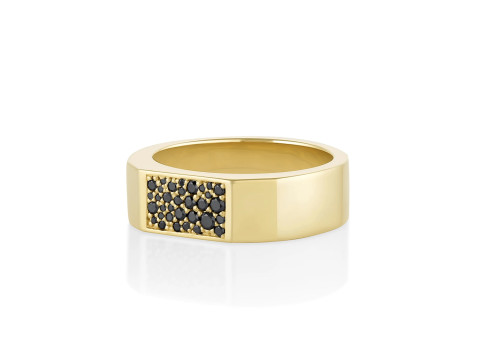 Mosaic Diamond setting Ring Band 3D प्रिंट मॉडल