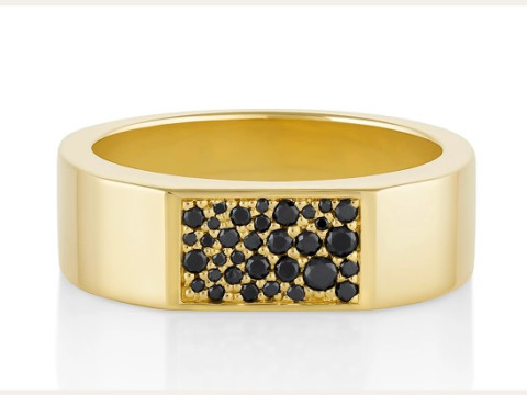 Mosaic Diamond setting Ring Band 3D प्रिंट मॉडल