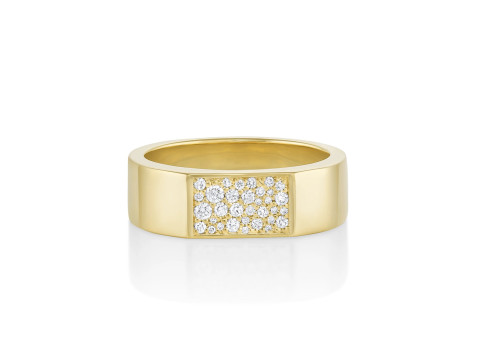 Mosaic Diamond setting Ring Band 3D प्रिंट मॉडल