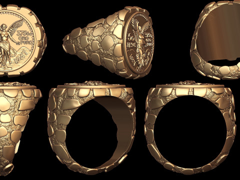 Wings of Victory Gold Coin Nugget Signet Ring Model do druku 3D