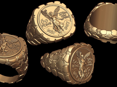 Wings of Victory Gold Coin Nugget Signet Ring Model do druku 3D