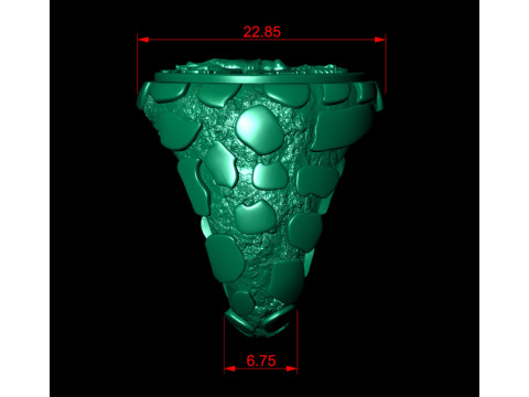 Wings of Victory Gold Coin Nugget Signet Ring Model do druku 3D