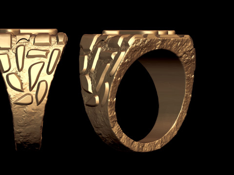 Scorpio Horoscope Zodiac Nugget Ring 3D Print Model