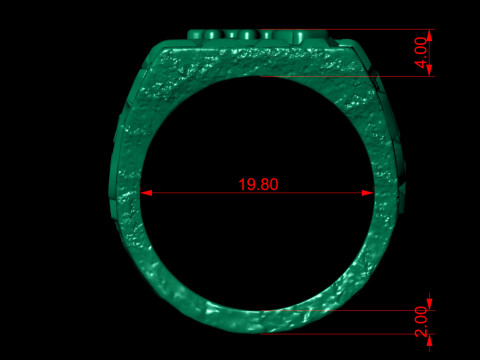 Scorpio Horoscope Zodiac Nugget Ring 3D Print Model